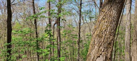 0 Gap Road Altamont TN 37301