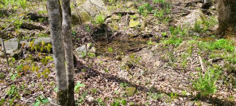 0 Gap Road Altamont TN 37301