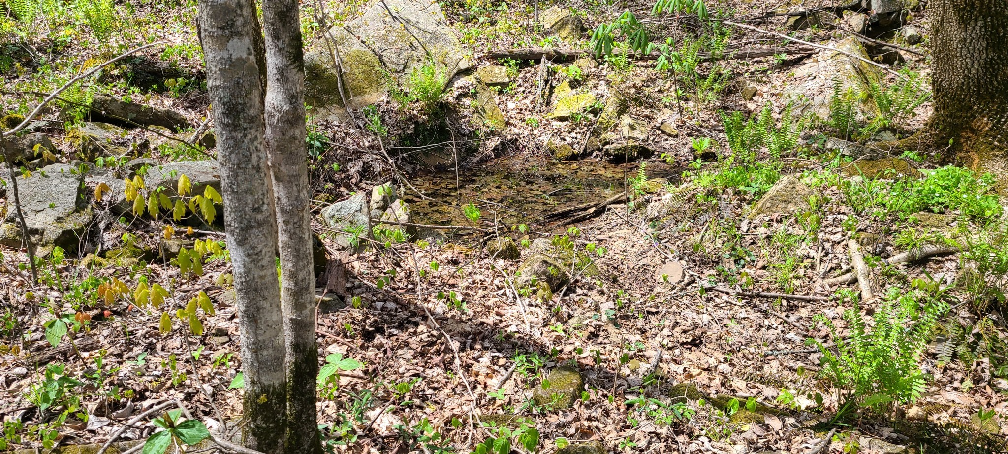 0 Gap Road Altamont TN 37301