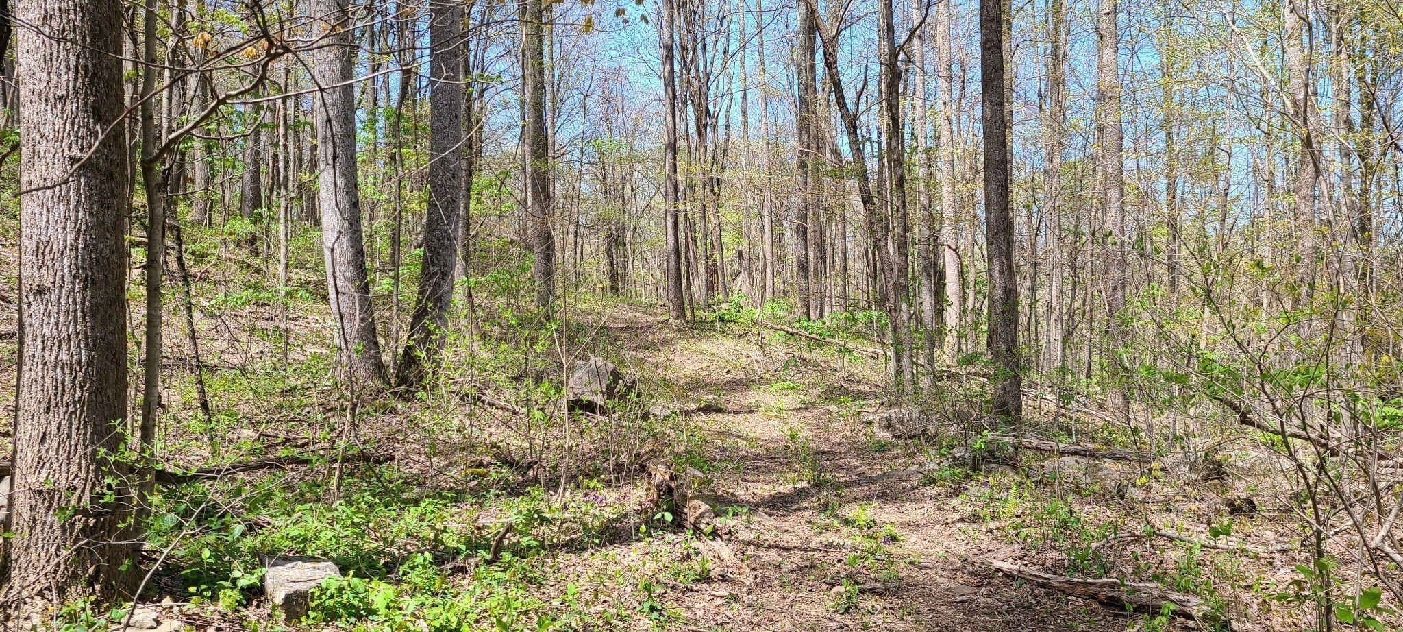 0 Gap Road Altamont TN 37301