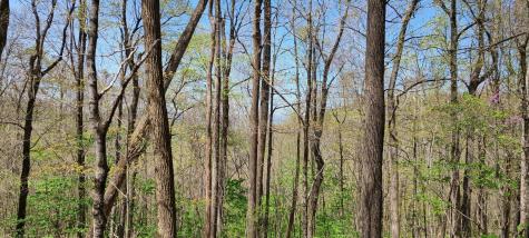 0 Gap Road Altamont TN 37301