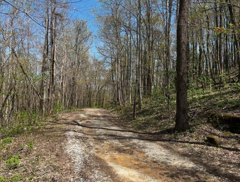 0 Gap Road Altamont TN 37301