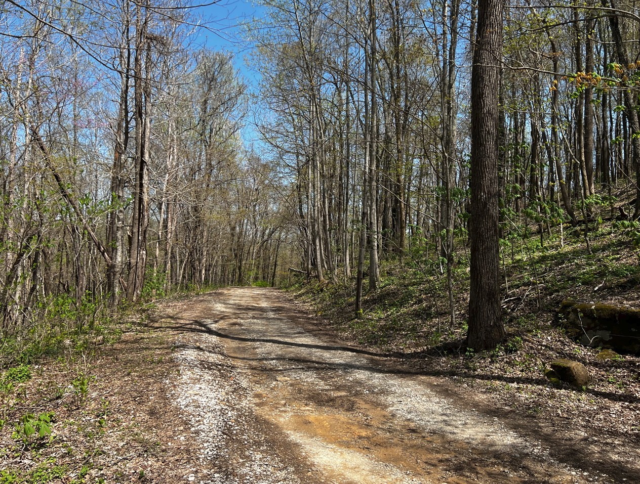 0 Gap Road Altamont TN 37301