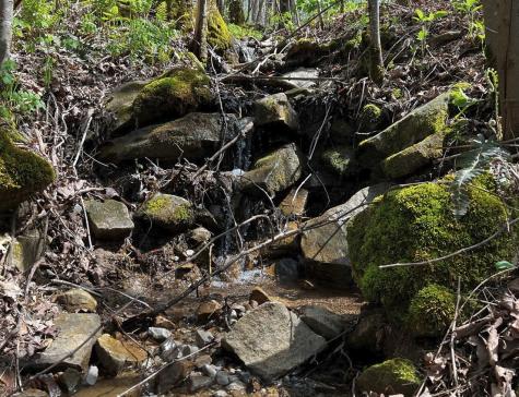 0 Gap Road Altamont TN 37301