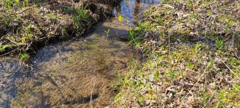 0 Gap Road Altamont TN 37301