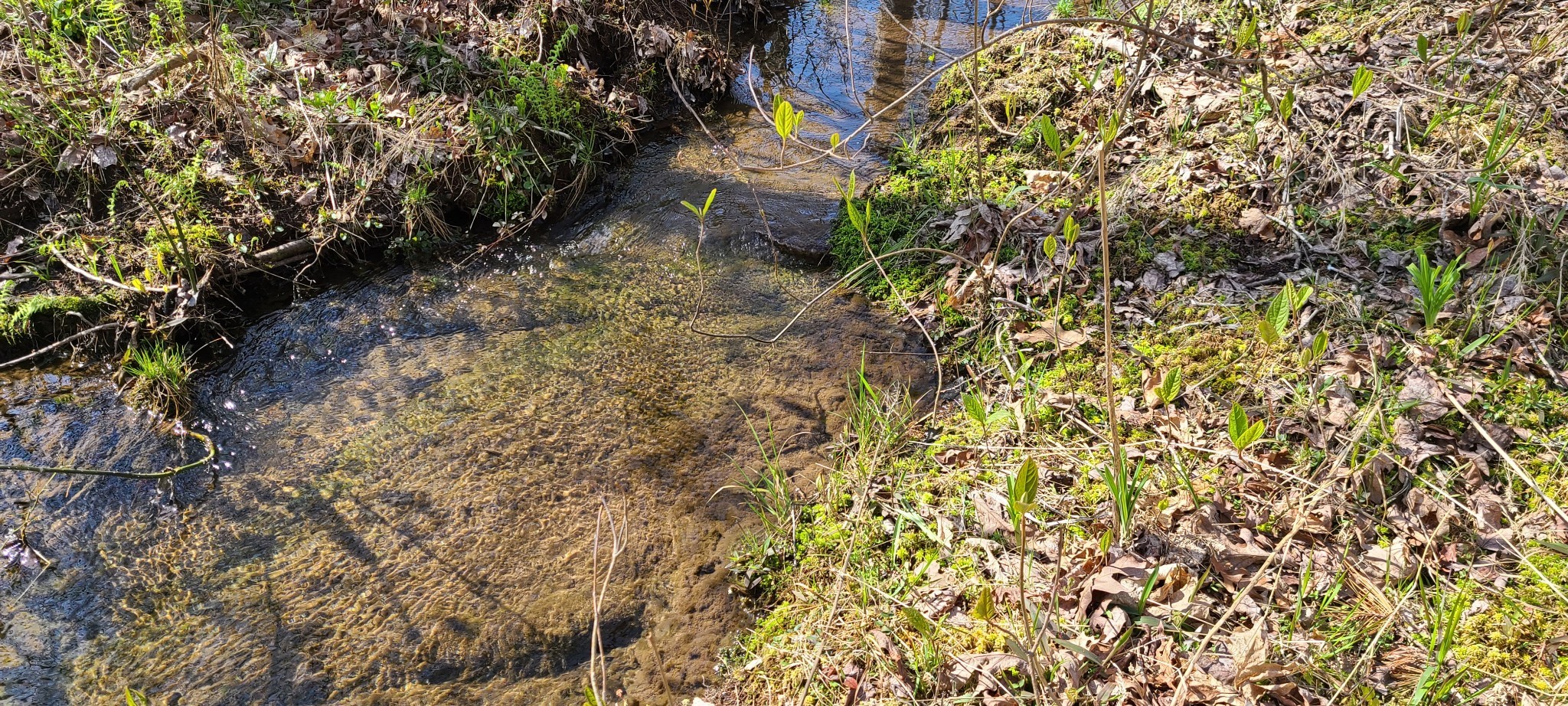 0 Gap Road Altamont TN 37301