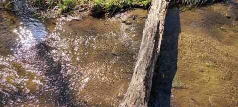 0 Gap Road Altamont TN 37301