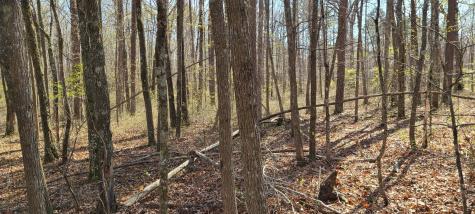 0 Gap Road Altamont TN 37301