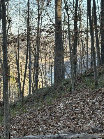 0 Mountain Lake Lane Sparta TN 38583