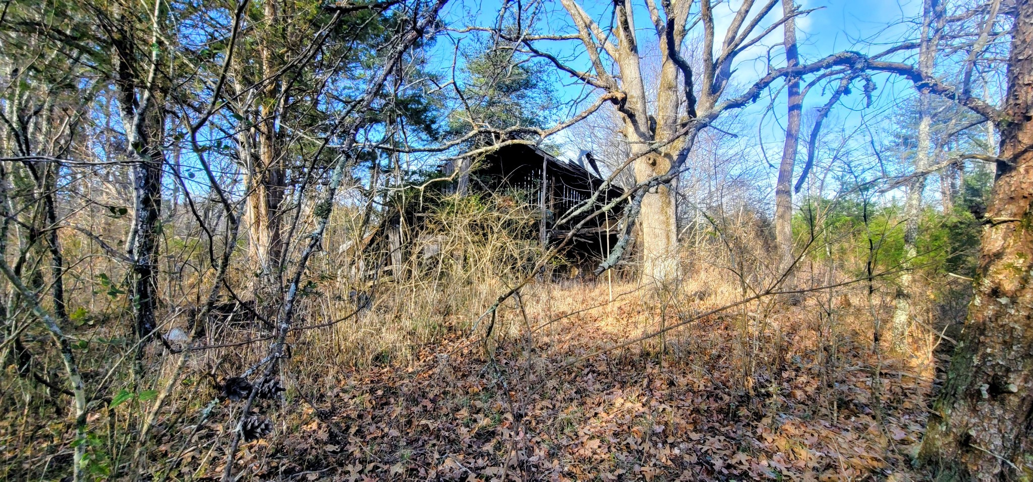 2323 College Street Spencer TN 38585