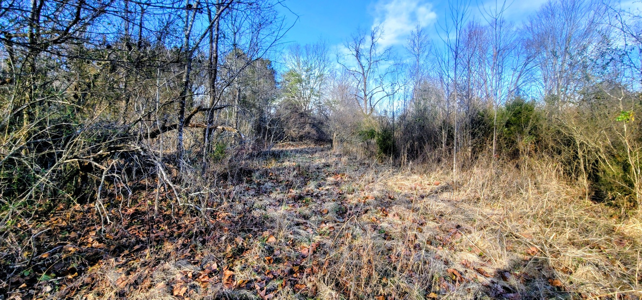 2323 College Street Spencer TN 38585