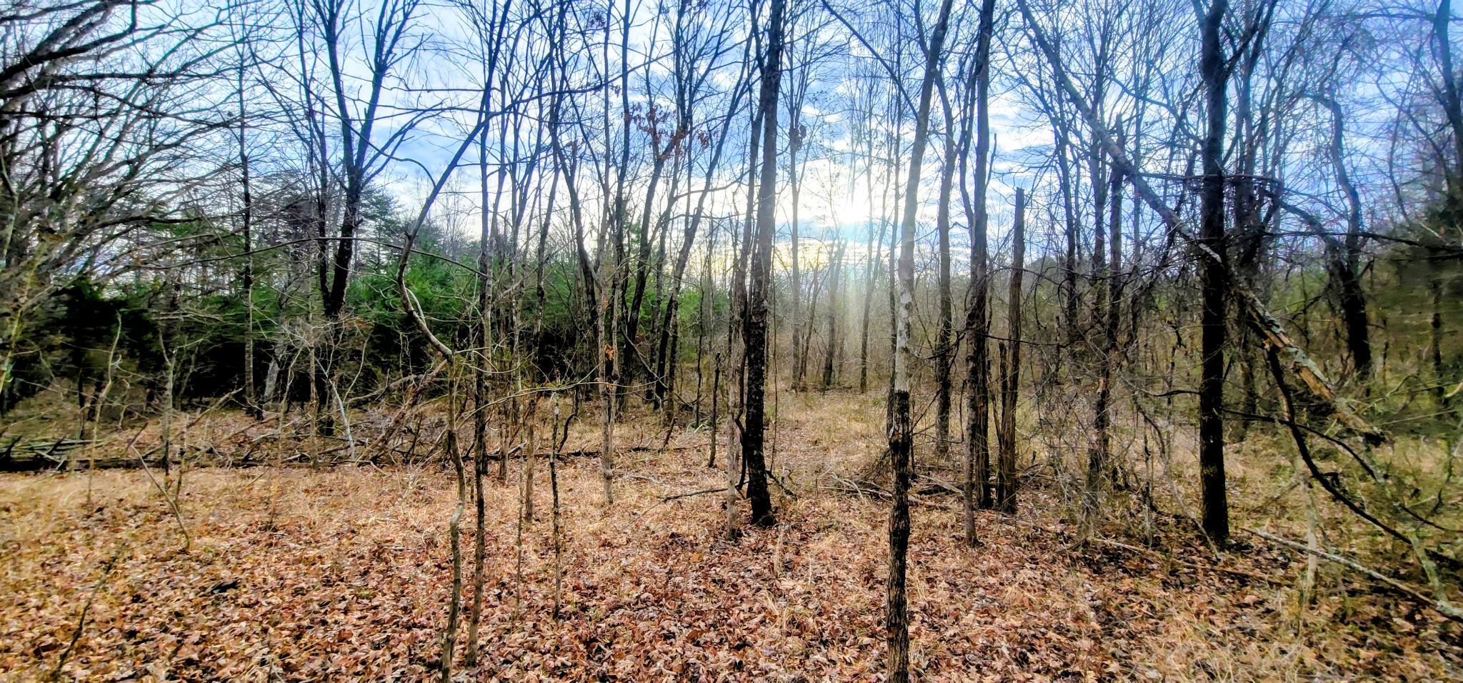 2323 College Street Spencer TN 38585