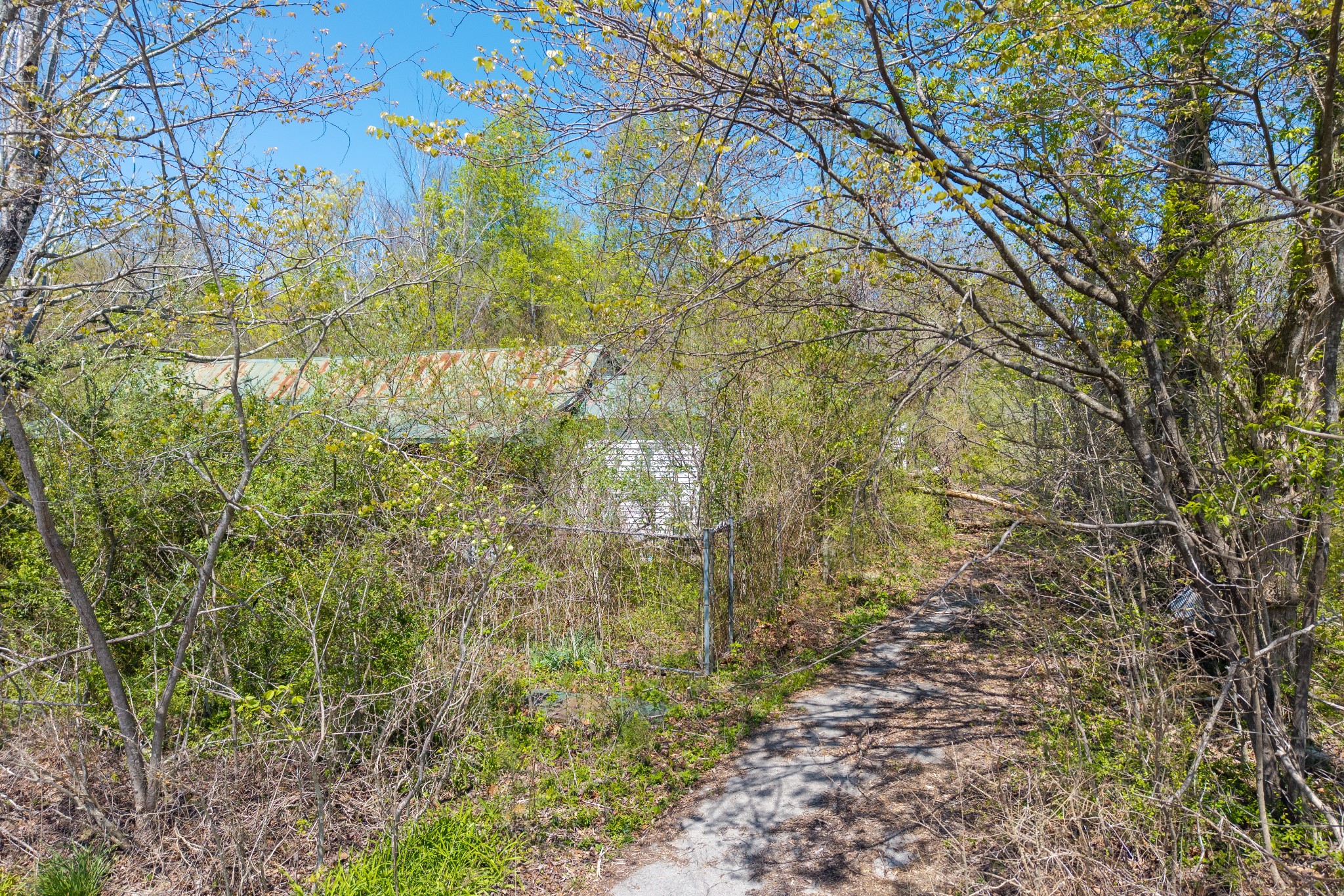2323 College Street Spencer TN 38585