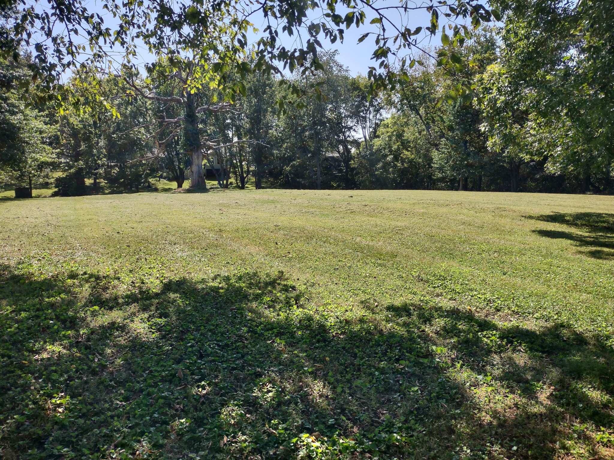5317 New Chapel Road Springfield TN 37172