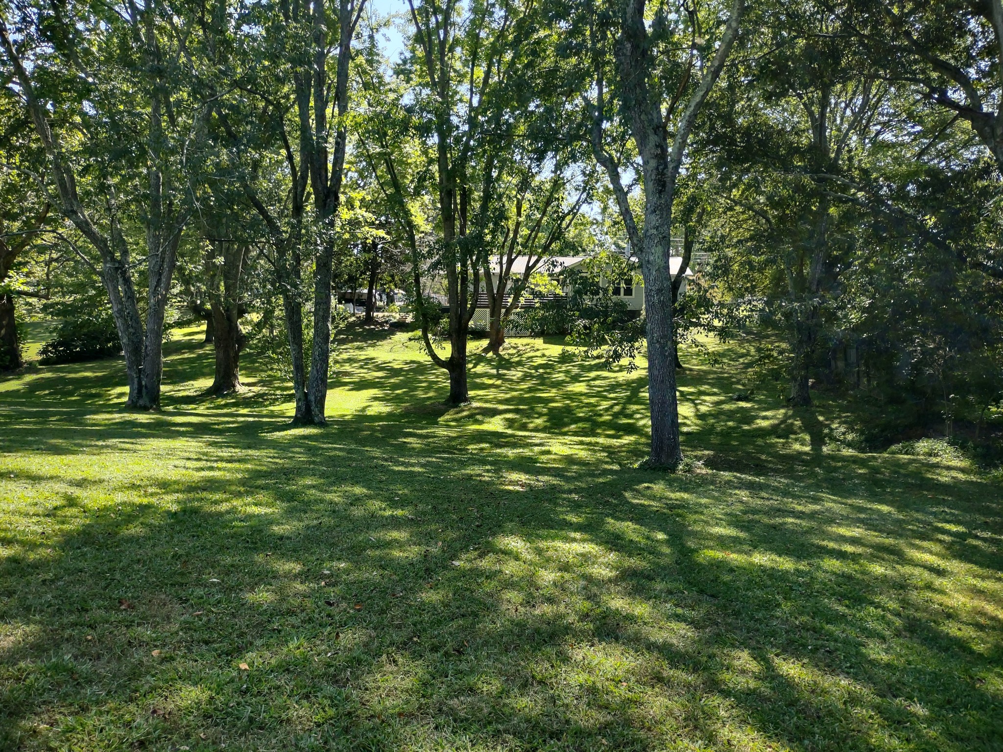 5317 New Chapel Road Springfield TN 37172