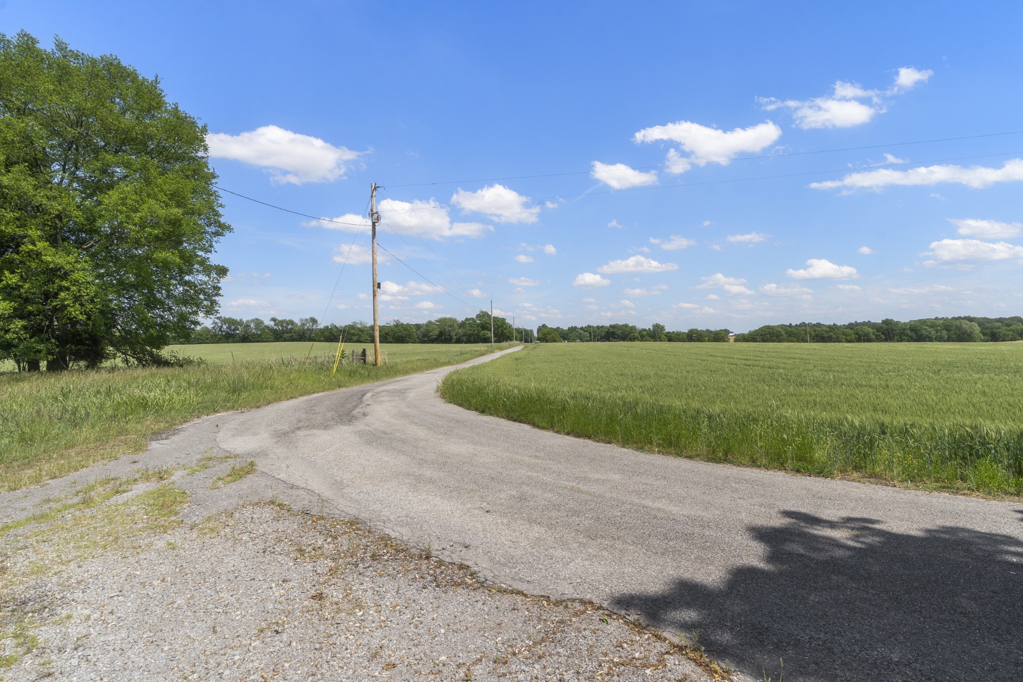 5078 Ezbon Holland Road Springfield TN 37172