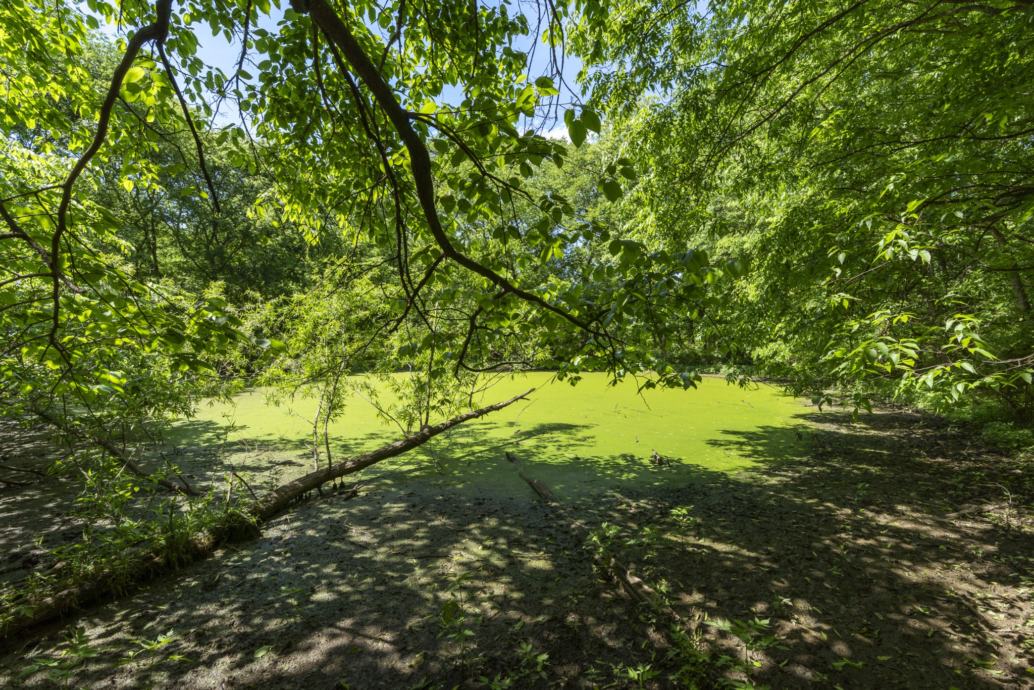 5078 Ezbon Holland Road Springfield TN 37172