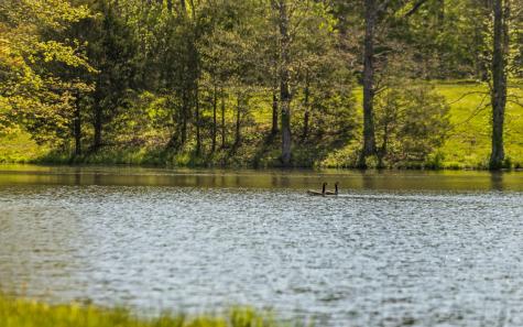 384 Clouse Hill Road Tracy City TN 37387