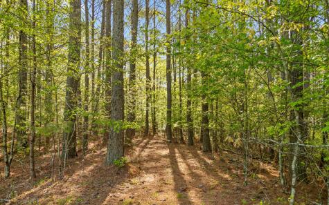 384 Clouse Hill Road Tracy City TN 37387