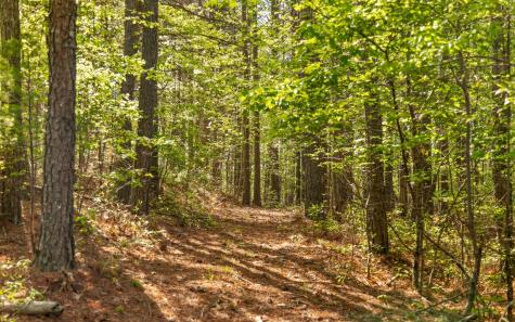 384 Clouse Hill Road Tracy City TN 37387