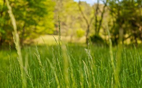 384 Clouse Hill Road Tracy City TN 37387