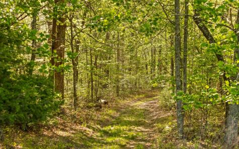 384 Clouse Hill Road Tracy City TN 37387