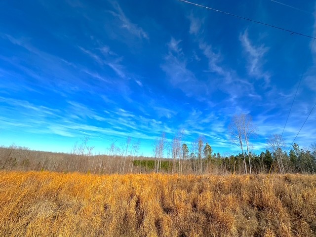 0 Saddleback Drive Dover TN 37058