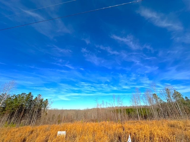 0 Saddleback Drive Dover TN 37058