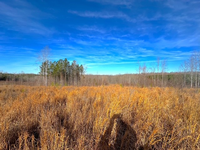 0 Saddleback Drive Dover TN 37058