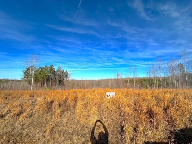 0 Saddleback Drive Dover TN 37058