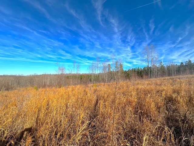 0 Saddleback Drive Dover TN 37058
