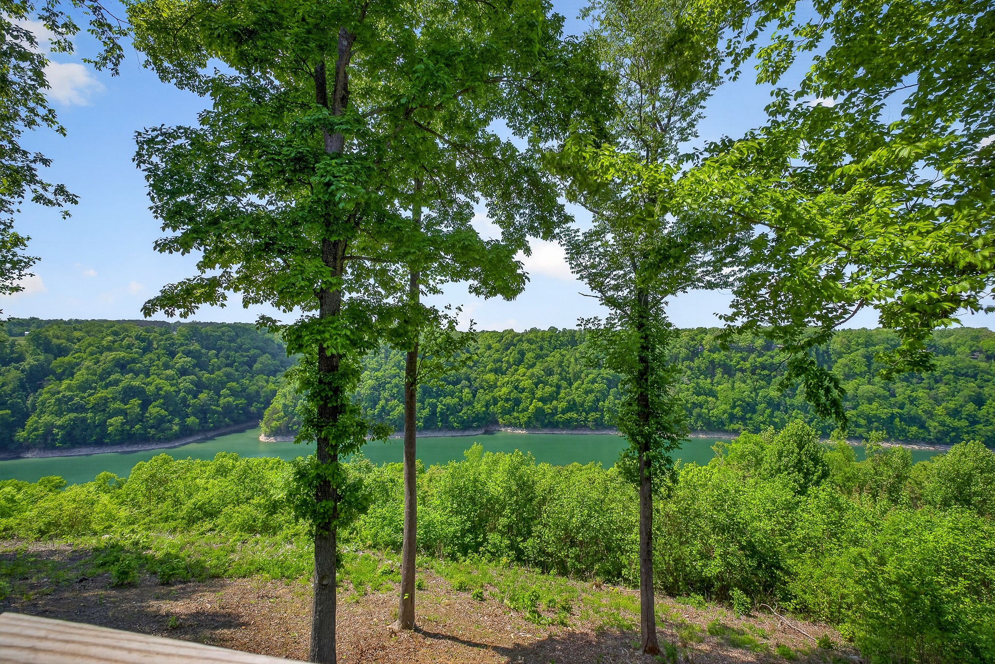 1171 Hutchins Bend Road, W Sparta TN 38583