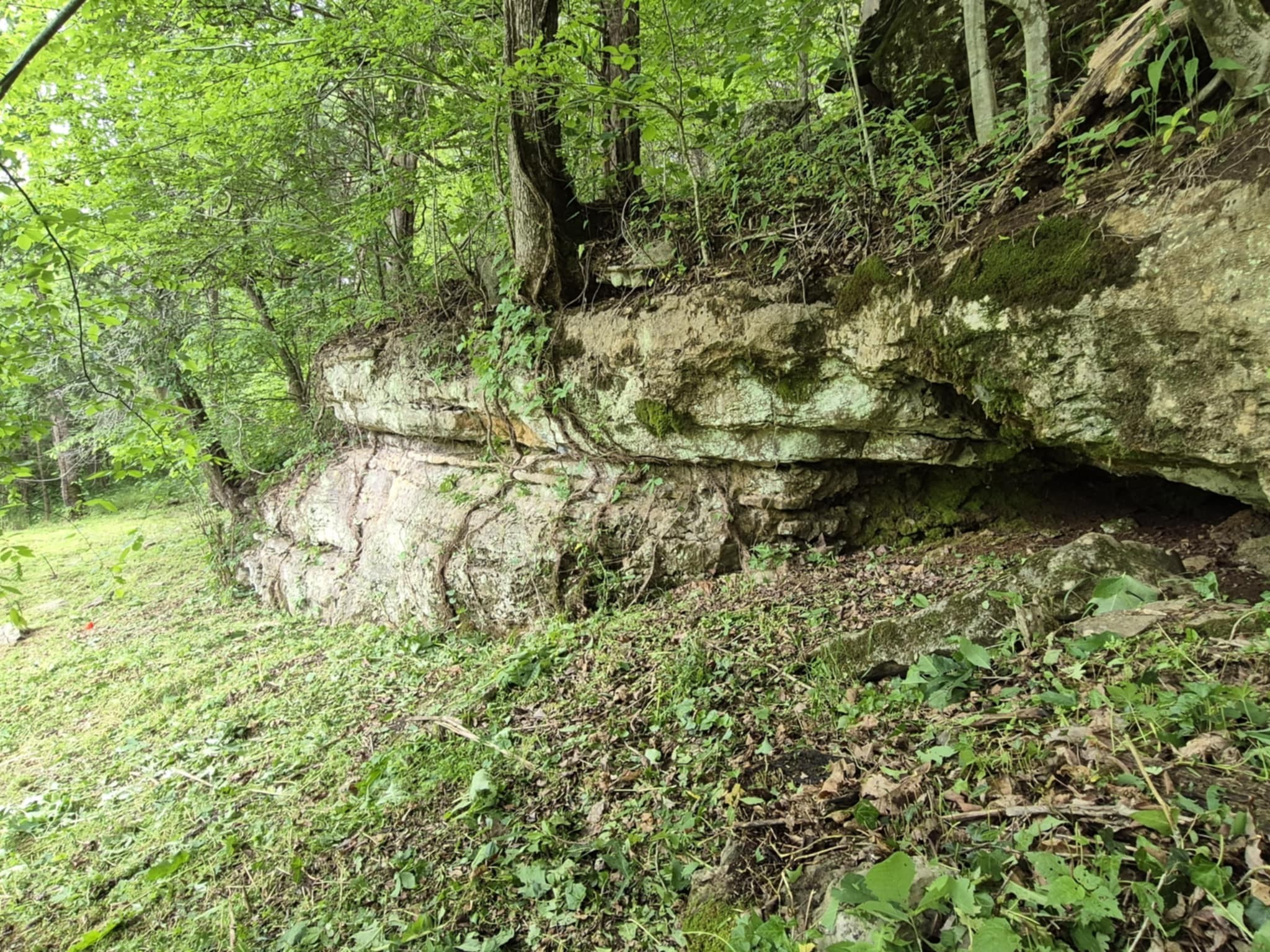 2203 Stones River Road Woodbury TN 37190