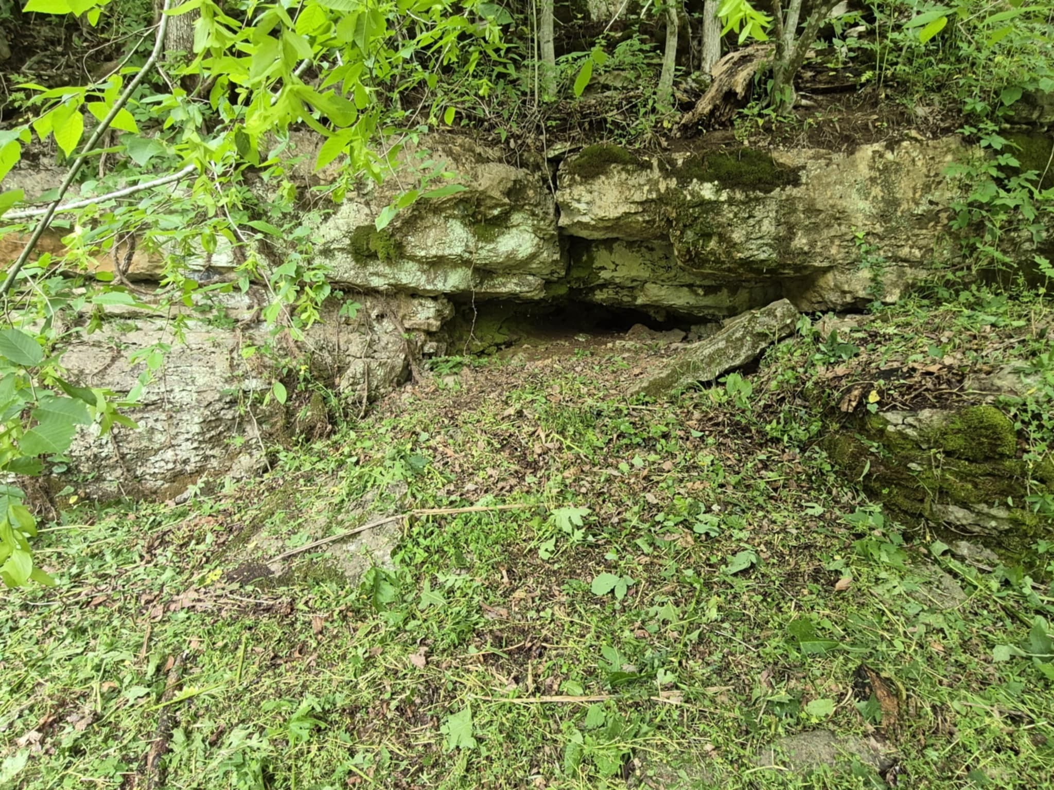 2203 Stones River Road Woodbury TN 37190