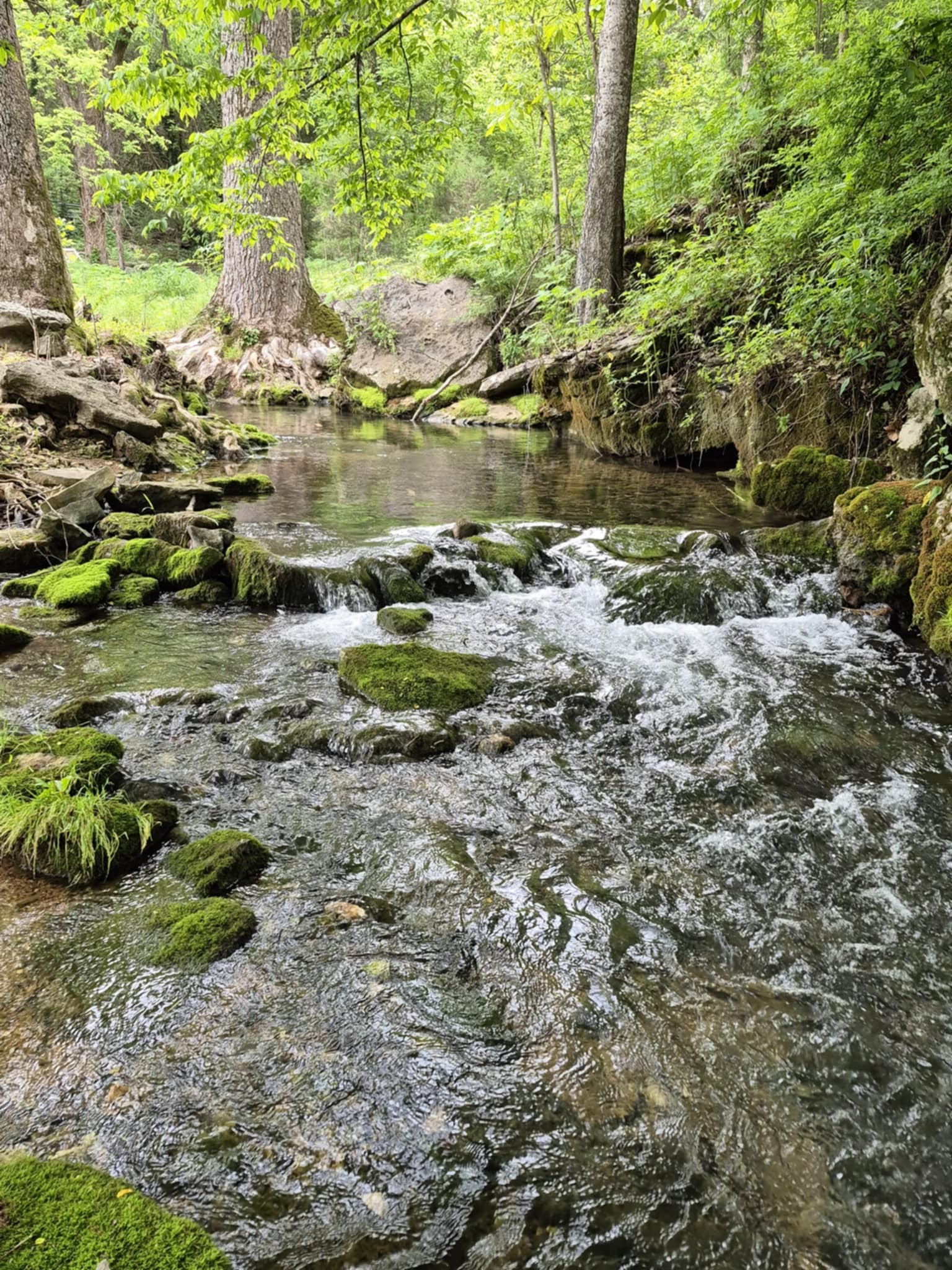 2203 Stones River Road Woodbury TN 37190