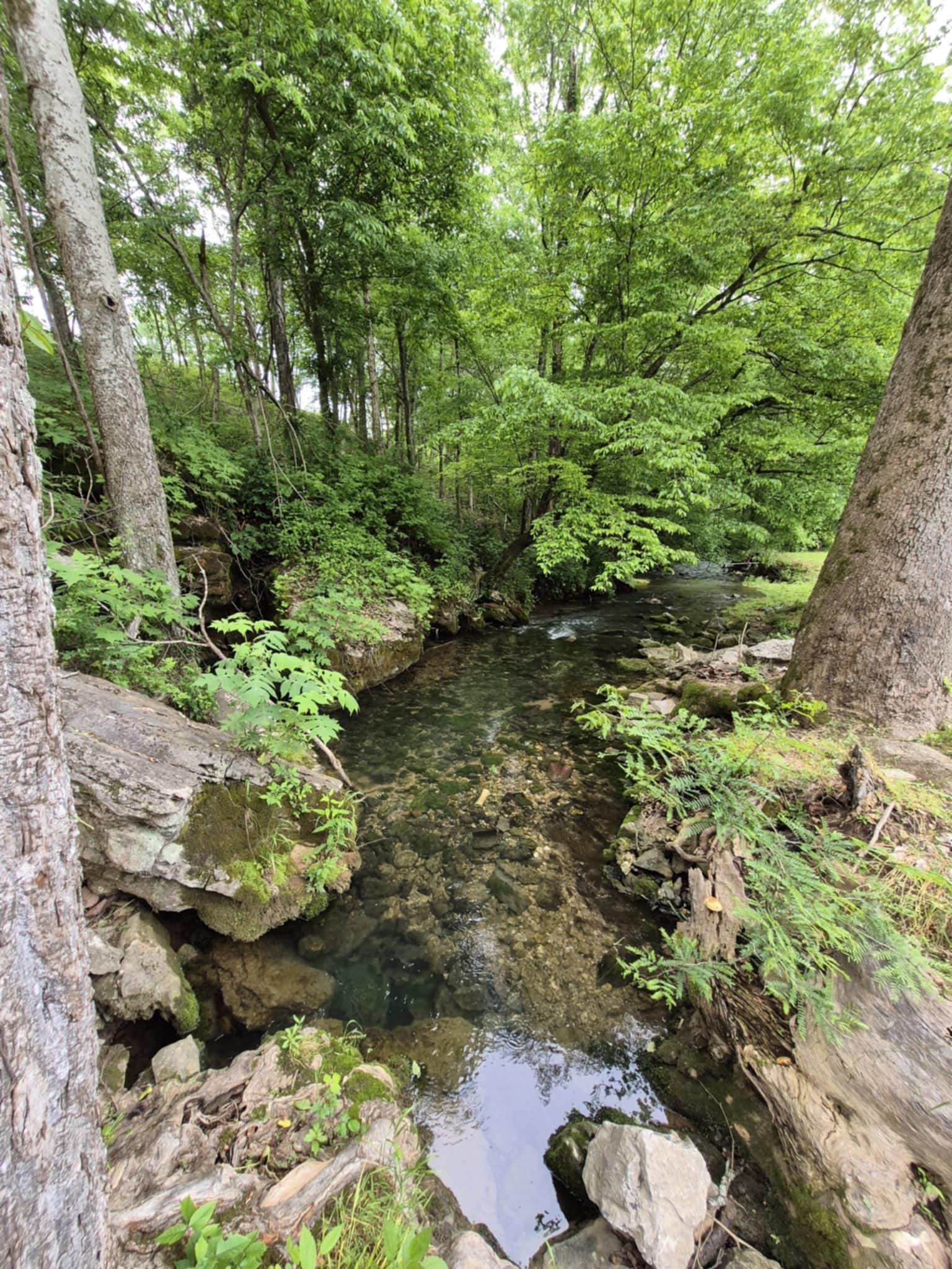 2203 Stones River Road Woodbury TN 37190