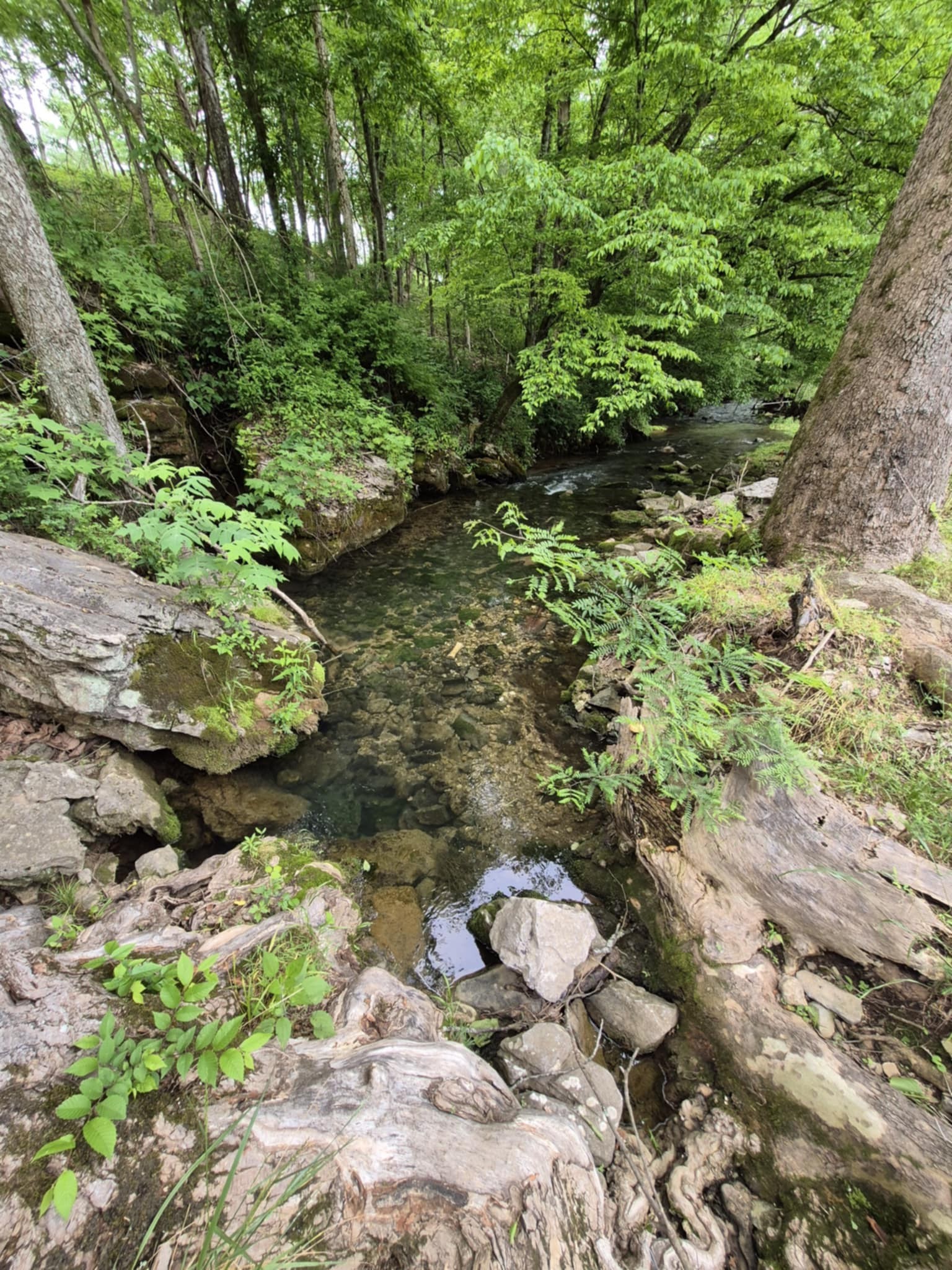2203 Stones River Road Woodbury TN 37190