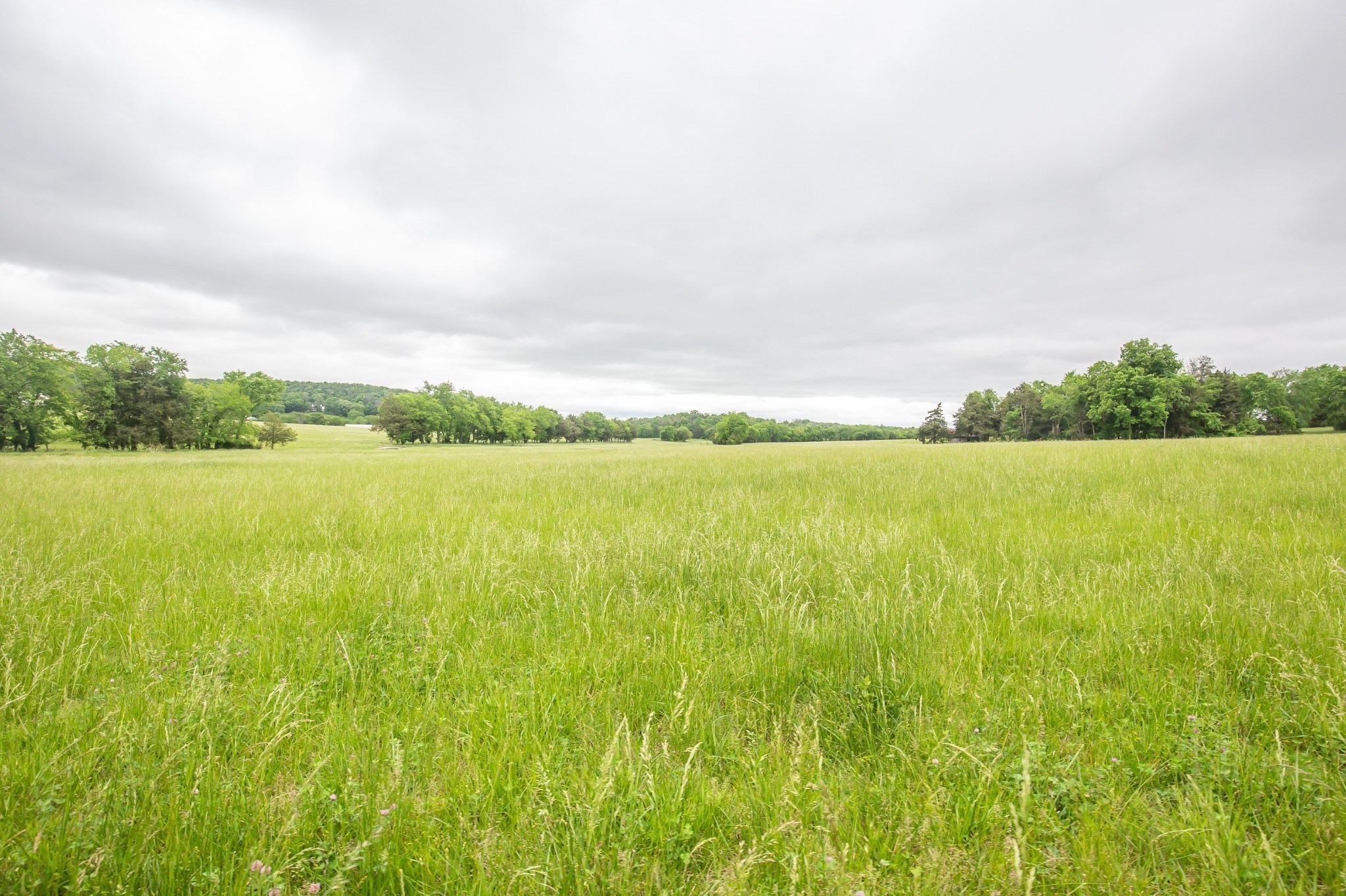521 Coop Road Bell Buckle TN 37020