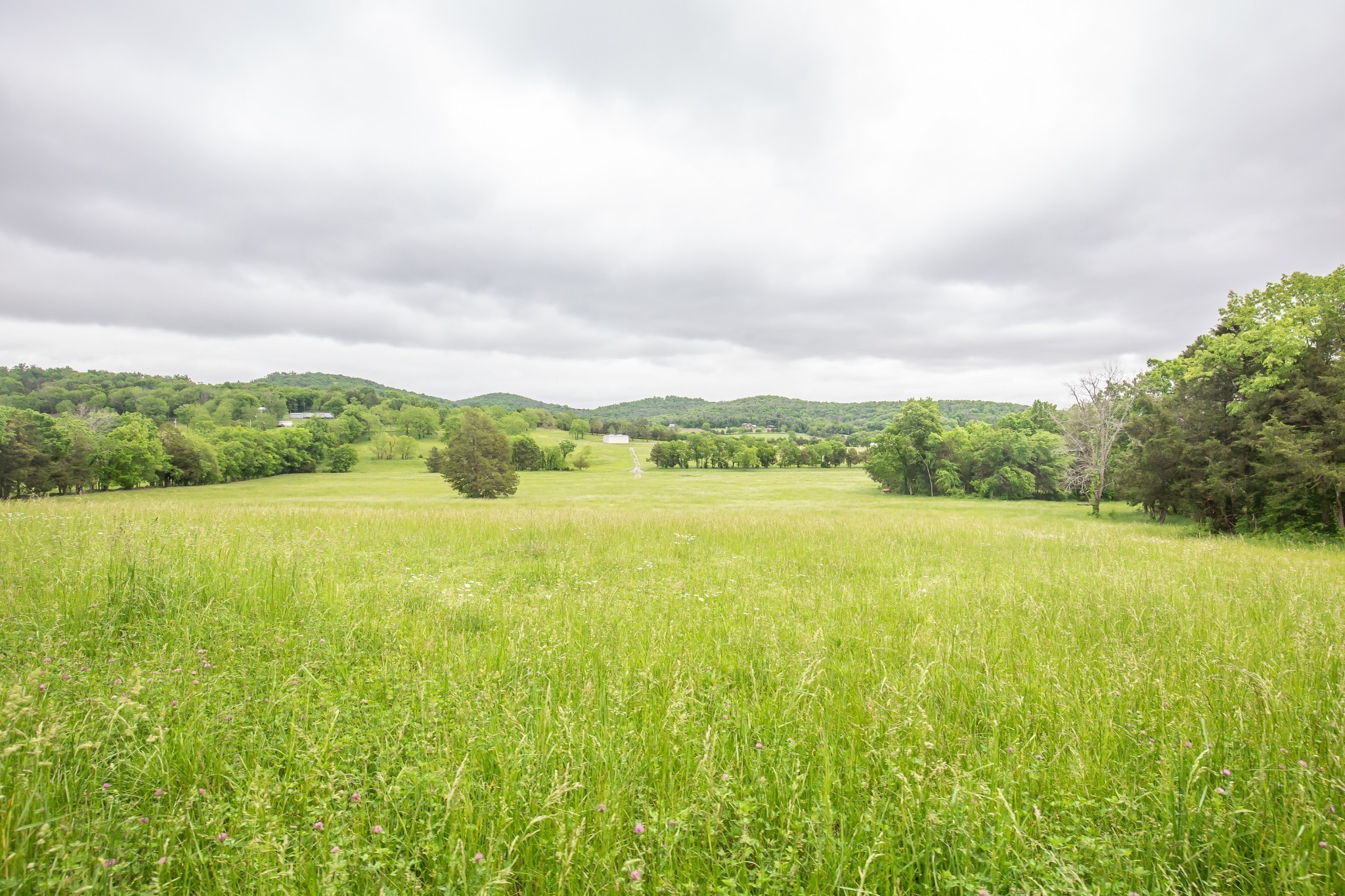 521 Coop Road Bell Buckle TN 37020