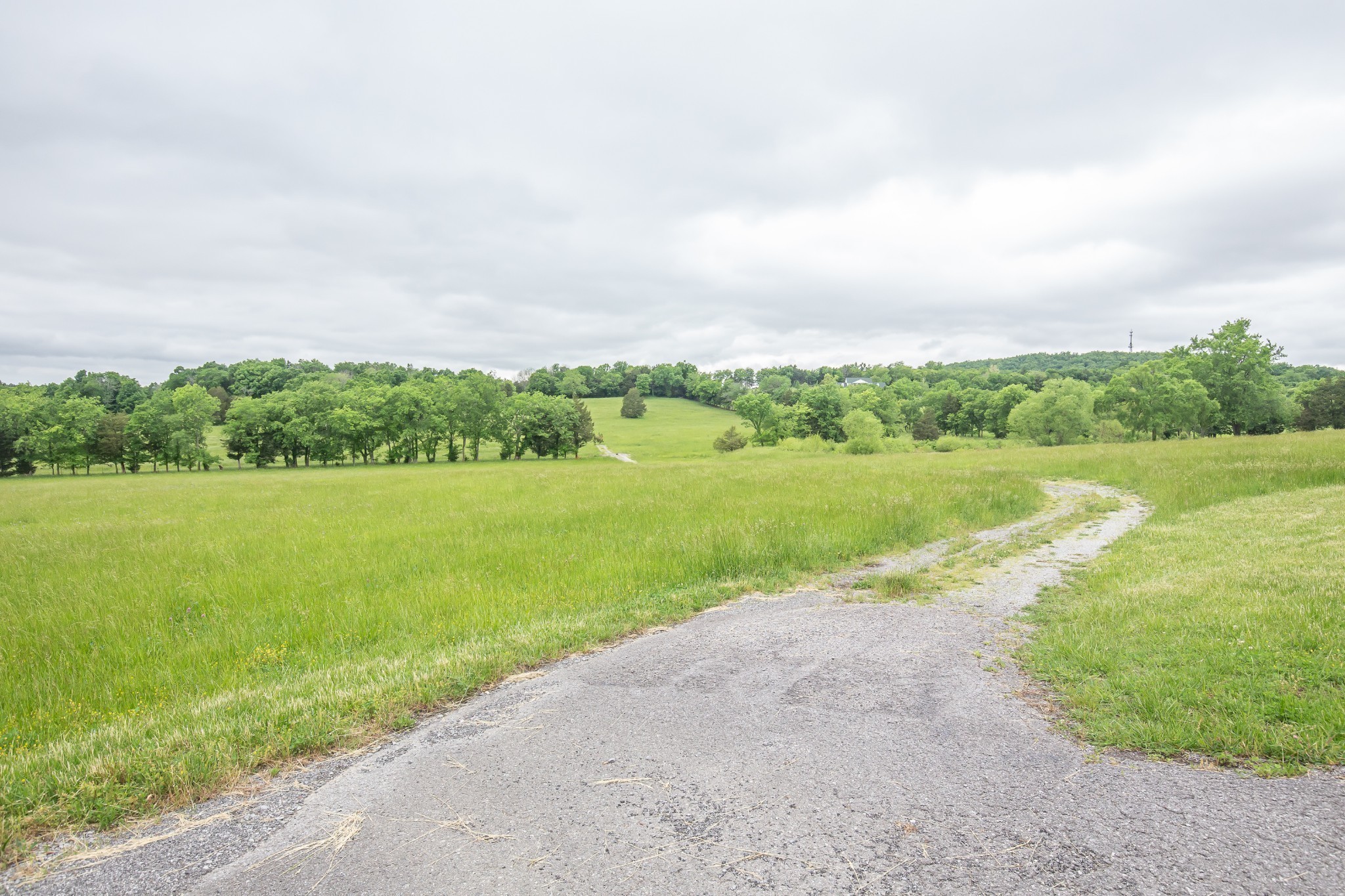 521 Coop Road Bell Buckle TN 37020
