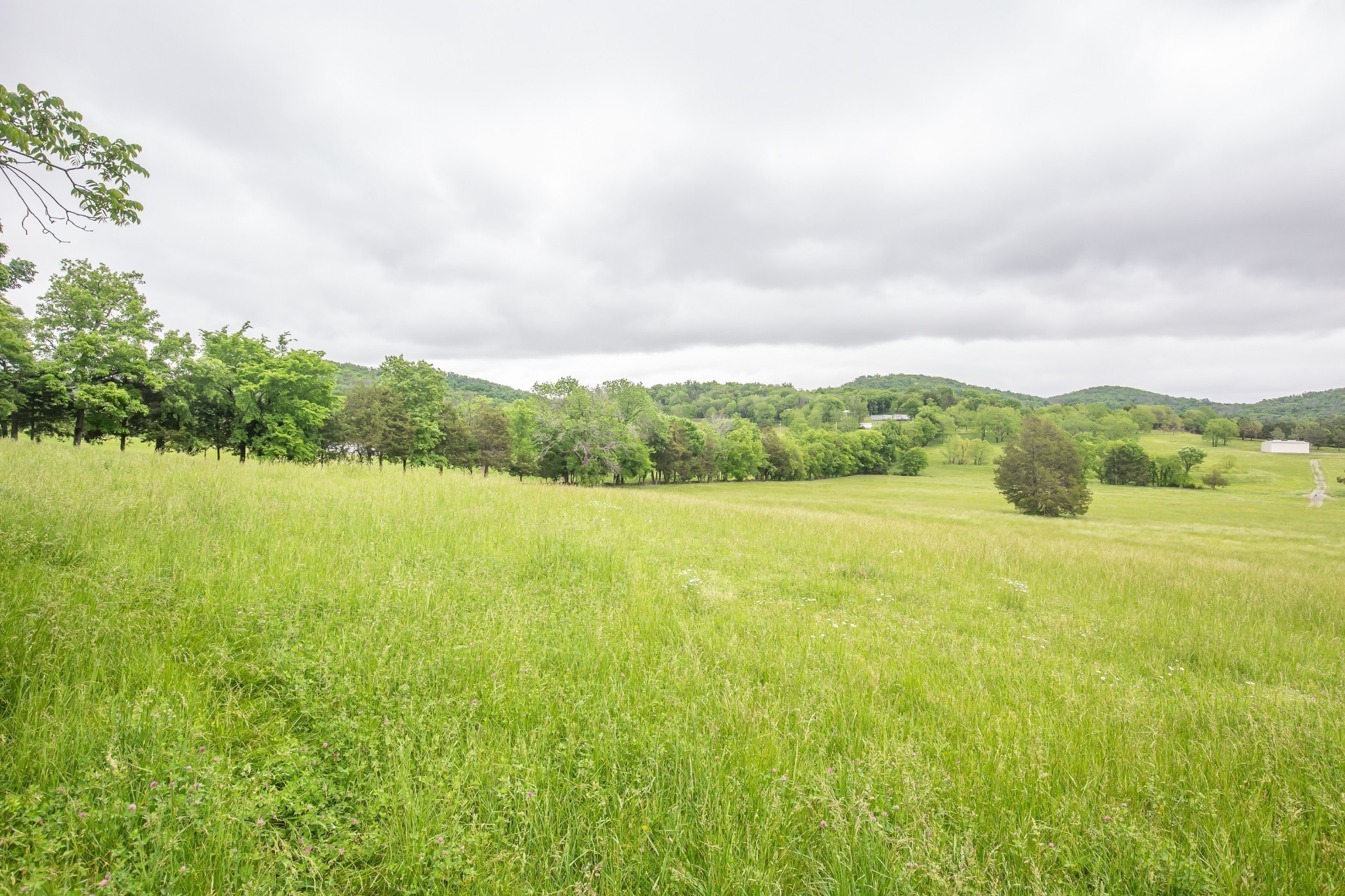 521 Coop Road Bell Buckle TN 37020