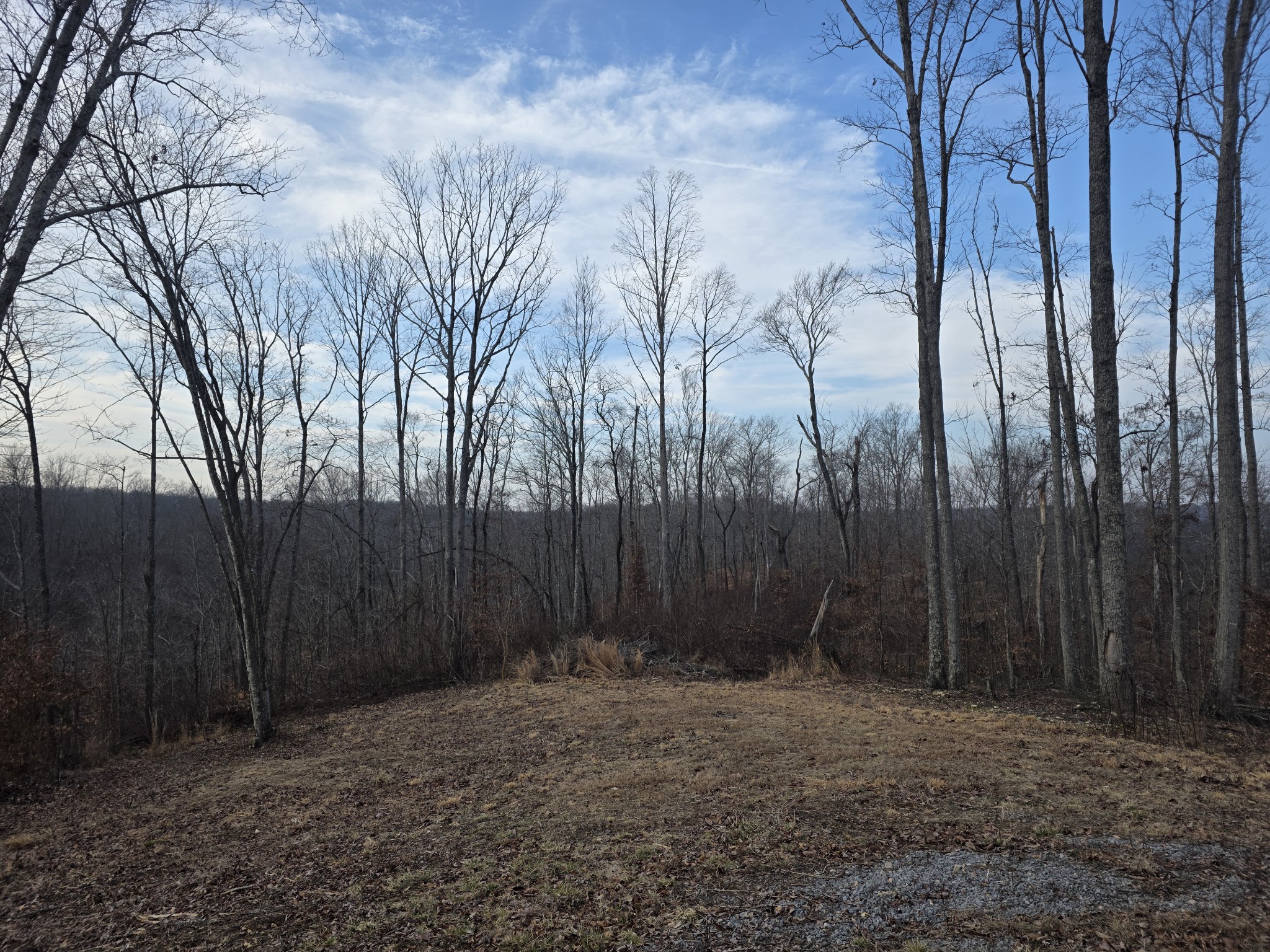 617 Pleasant Hill Cemetery Lane Gainesboro TN 38562