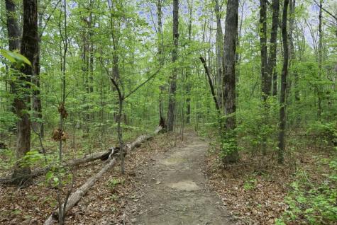 275 Wells Street Monteagle TN 37356