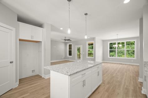 4062 Summit Drive Greenbrier TN 37073
