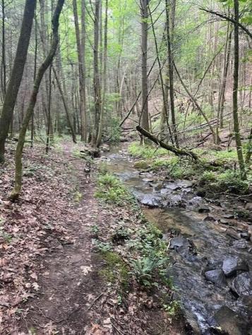 1302 Campfire Trail Signal Mountain TN 37377