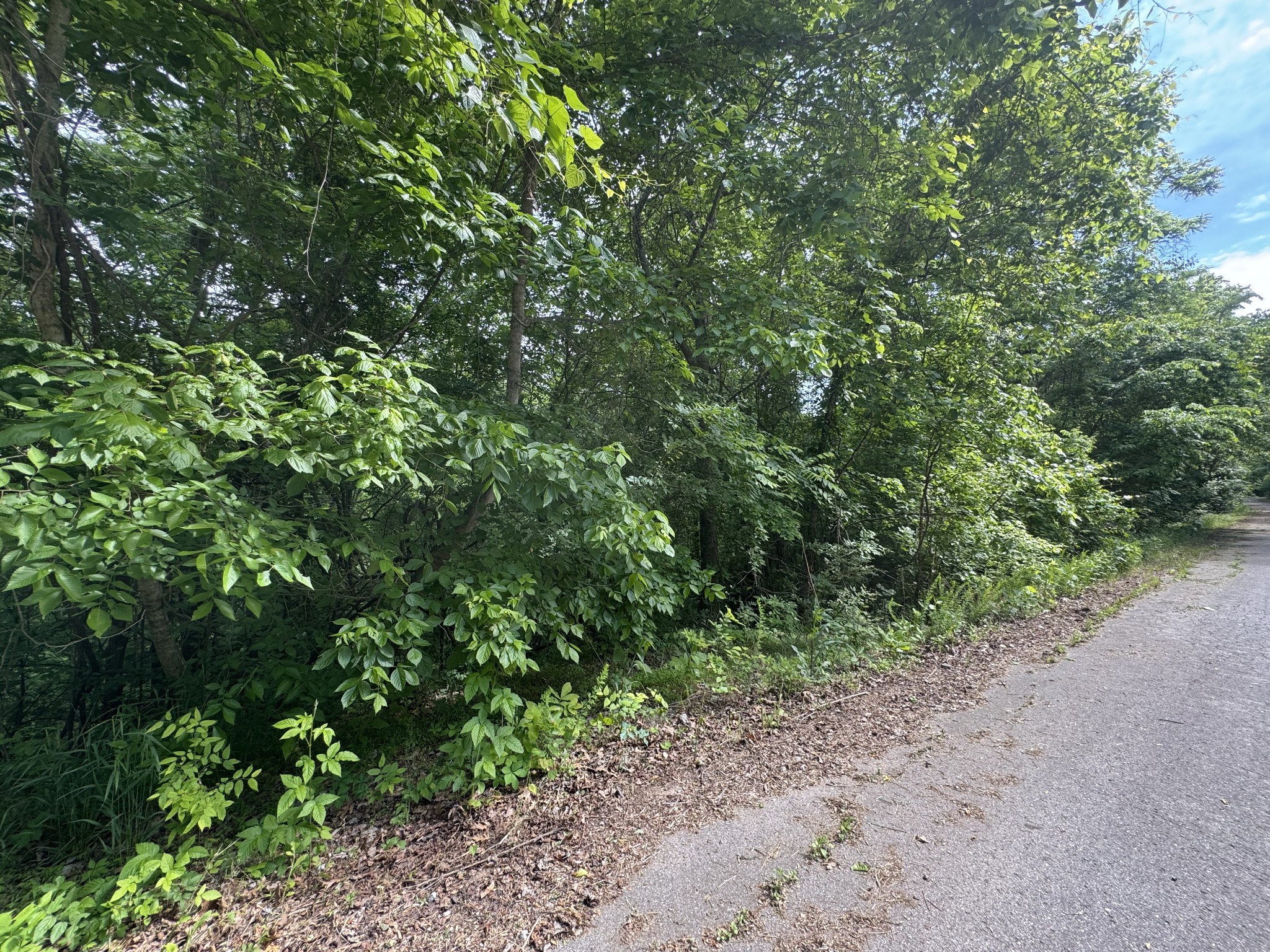 0 Park Drive Silver Point TN 38582