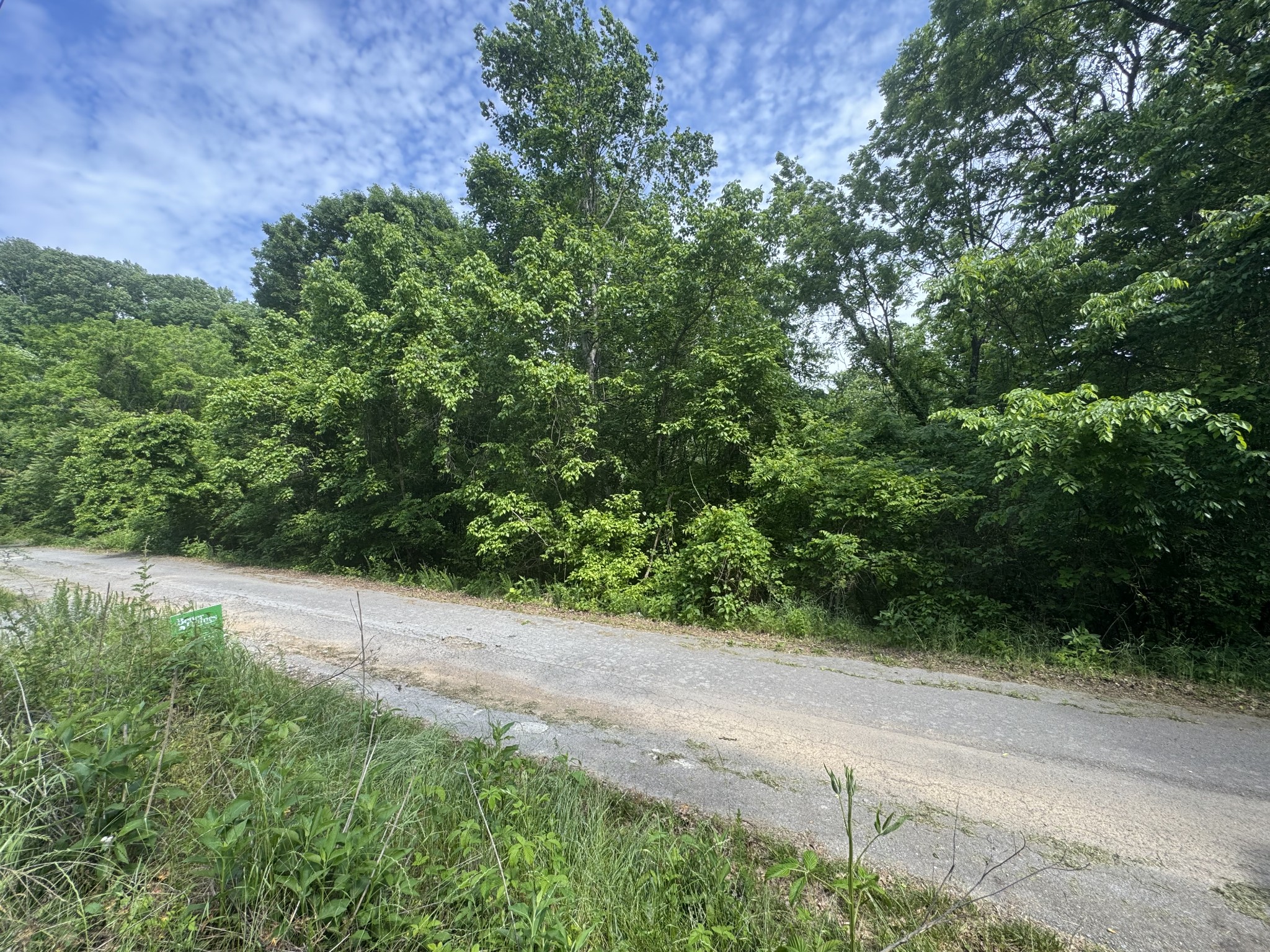 0 Park Drive Silver Point TN 38582