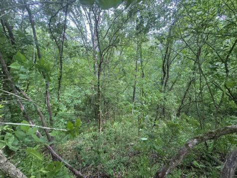 0 Park Drive Silver Point TN 38582