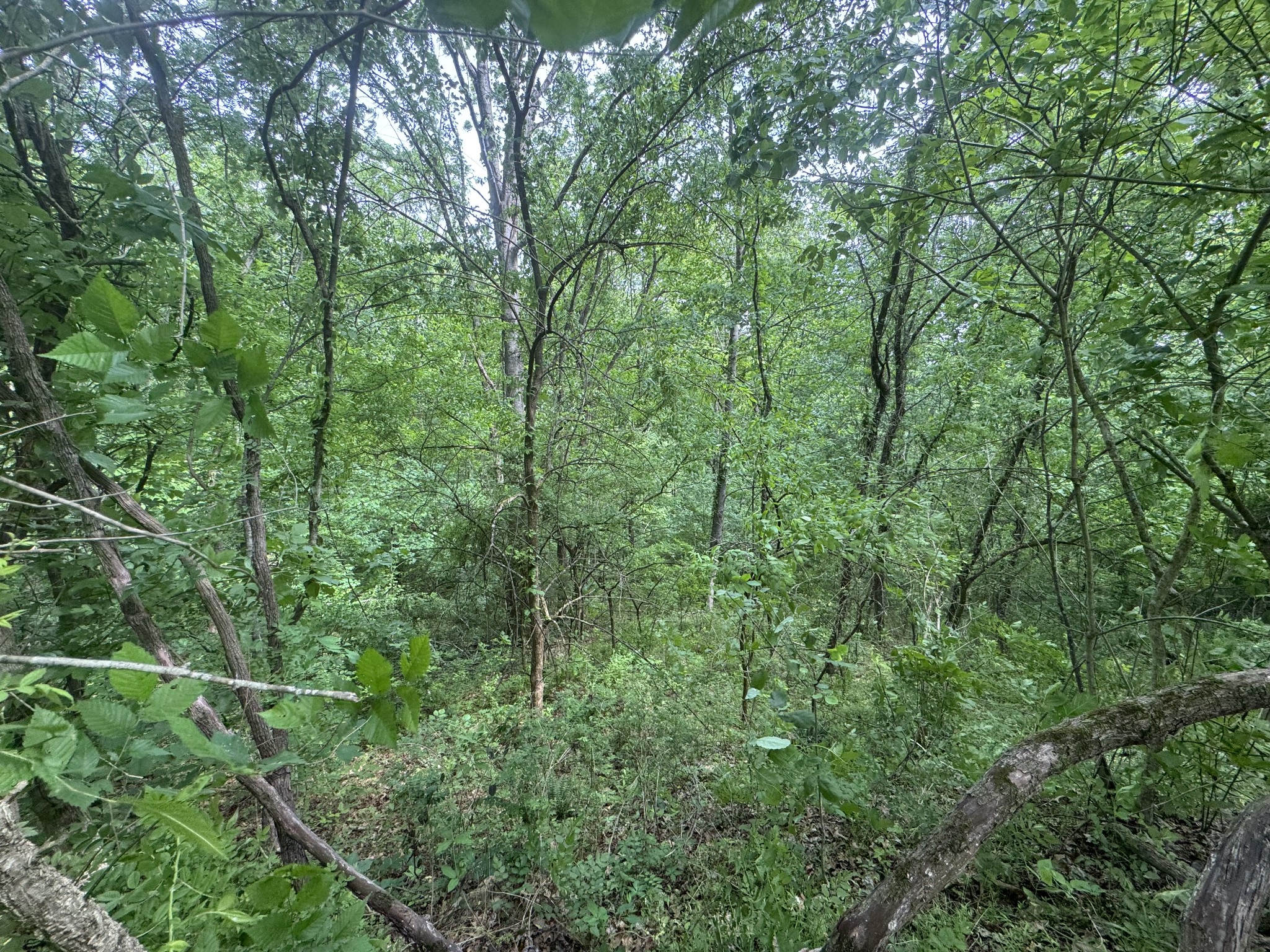 0 Park Drive Silver Point TN 38582
