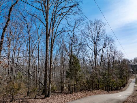 0 Fawn Ridge Road Parsons TN 38363
